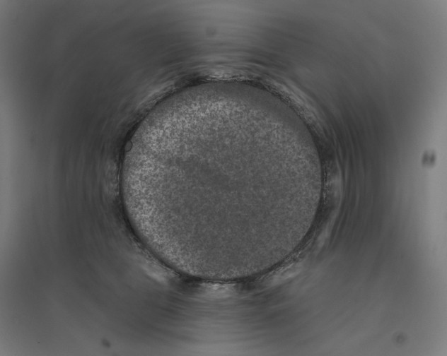 X0000094440469200712061142