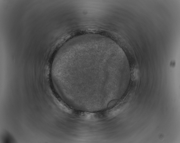 X0000094440472200712061142