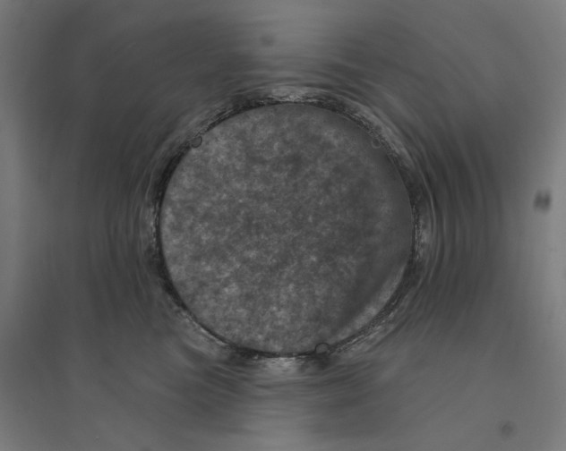 X0000094440473200712061142