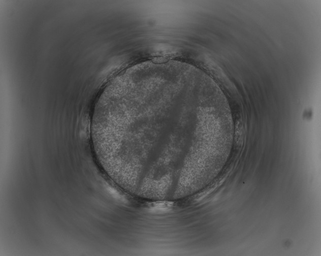 X0000094440474200712061142