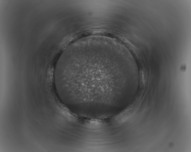 X0000094440475200712061142