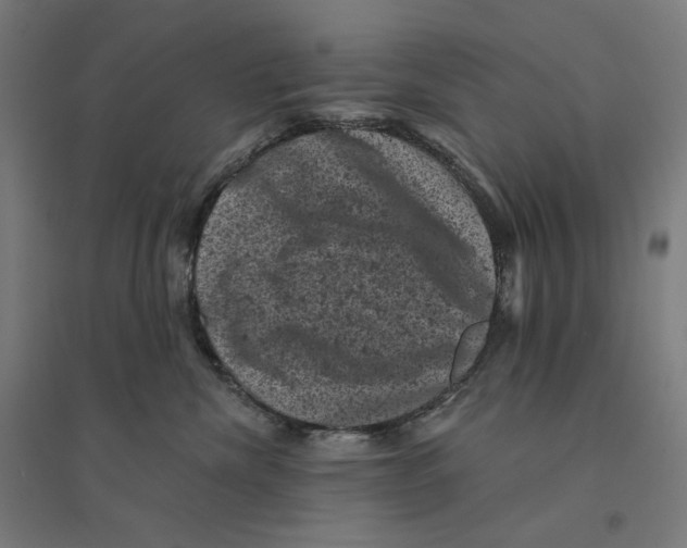 X0000094440476200712061142