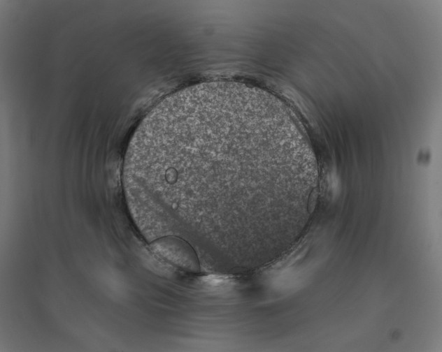 X0000094440477200712061142