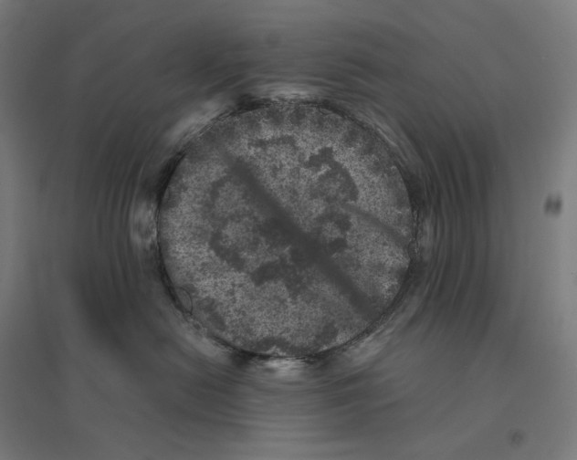 X0000094440478200712061142