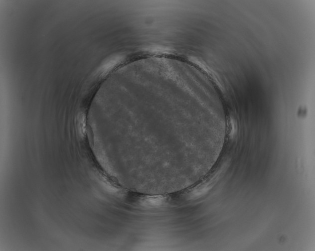 X0000094440479200712061142