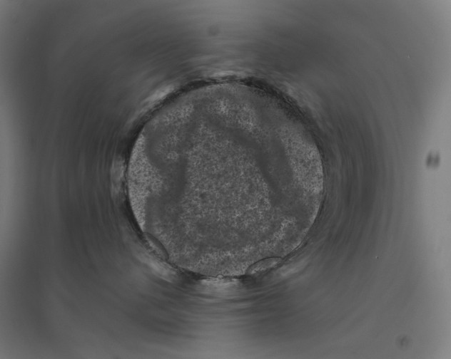 X0000094440480200712061142