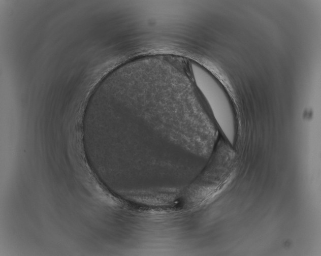 X0000094440481200712061141