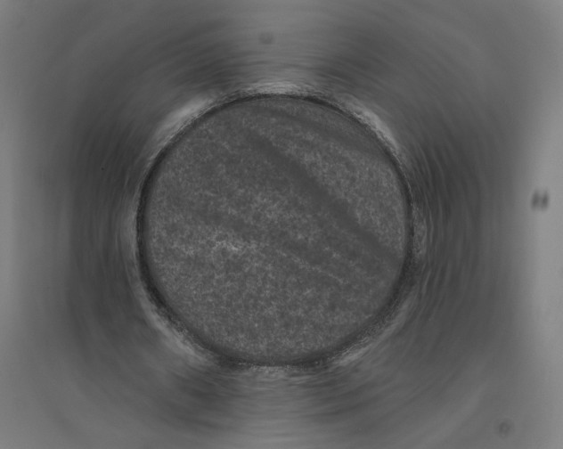 X0000094440482200712061141