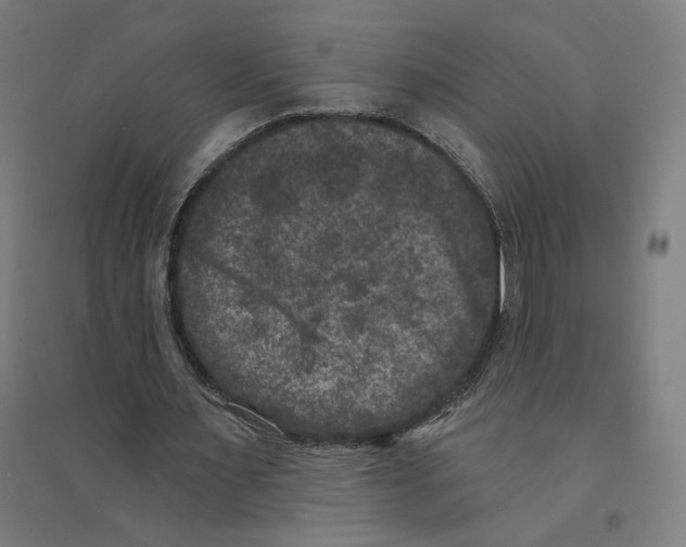 X0000094440483200712061141