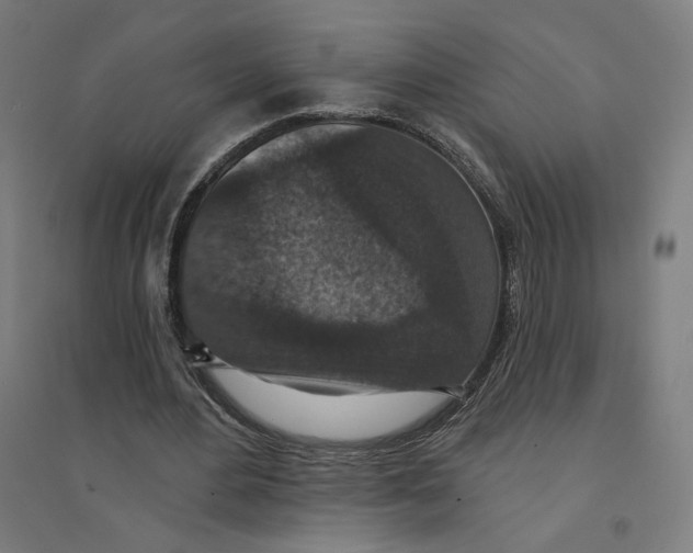 X0000094440484200712061141