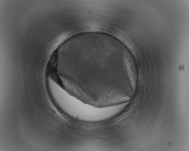 X0000094440485200712061141