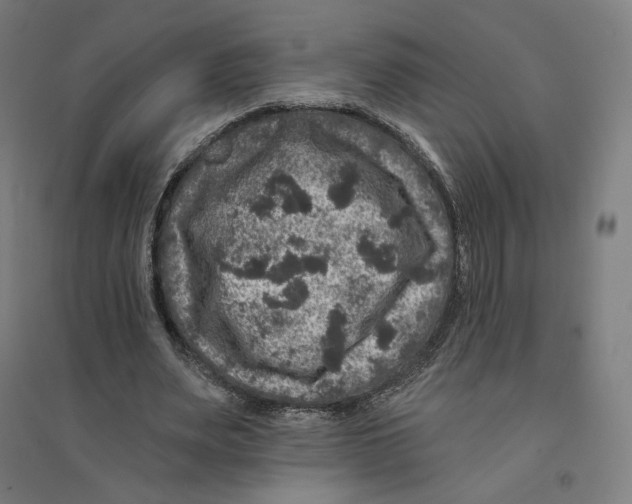 X0000094440487200712061141