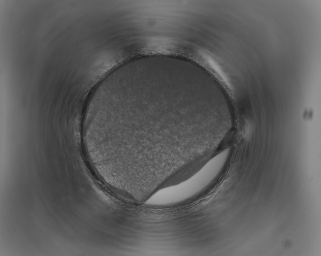 X0000094440489200712061141