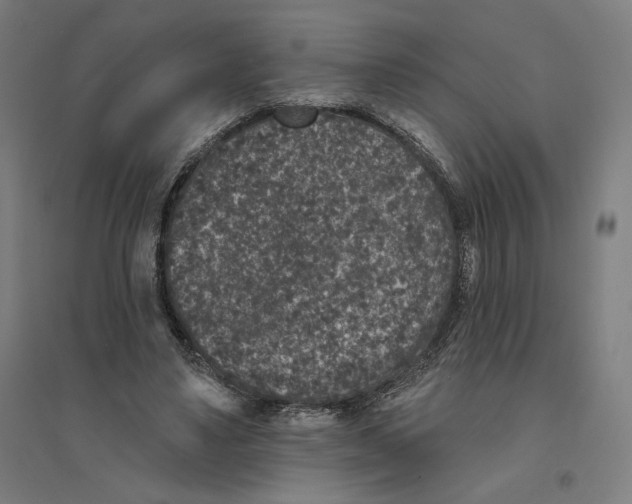 X0000094440491200712061141