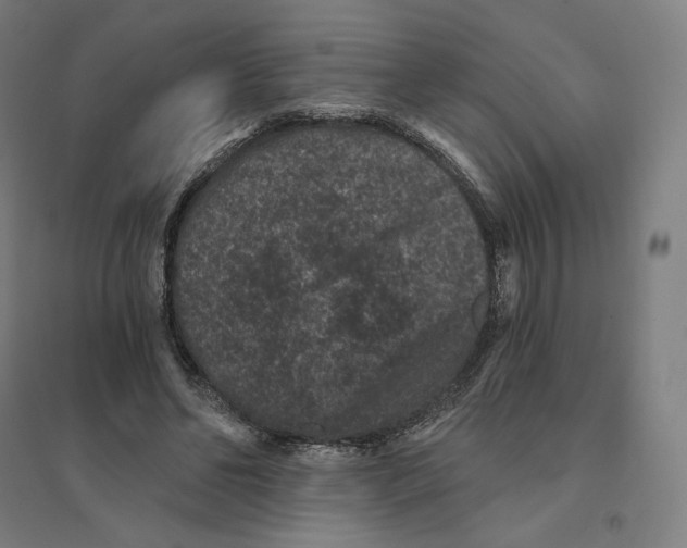 X0000094440494200712061141