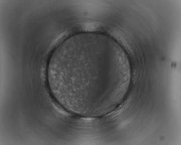 X0000094440497200712061141