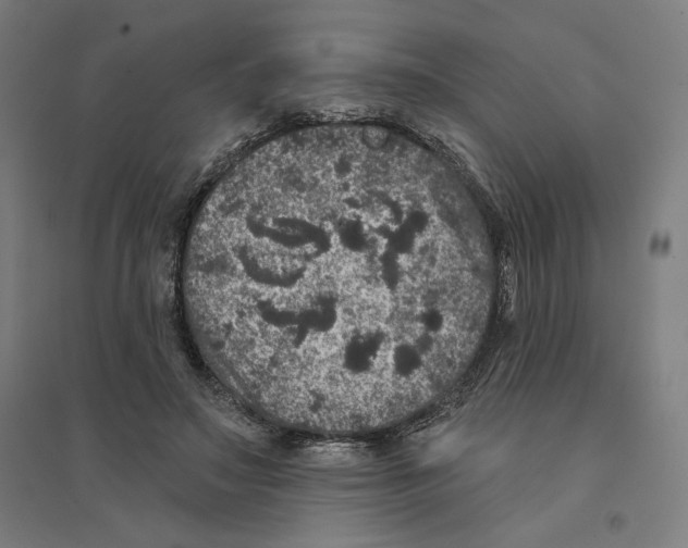 X0000094440499200712061141