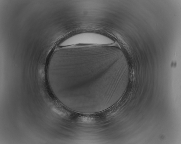 X0000094440500200712061141