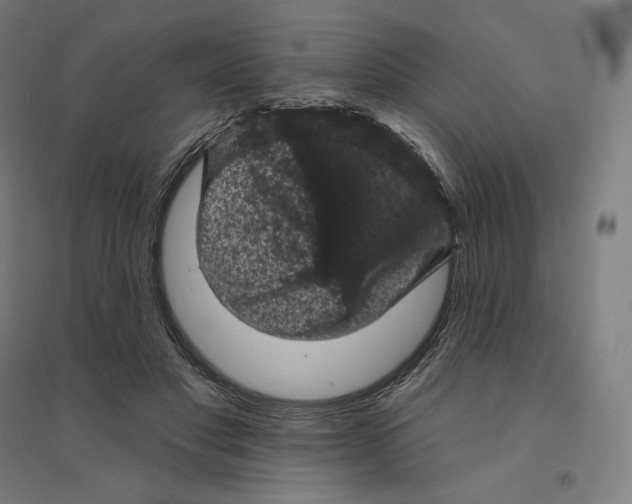 X0000094440501200712061141