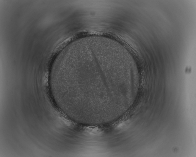 X0000094440502200712061141