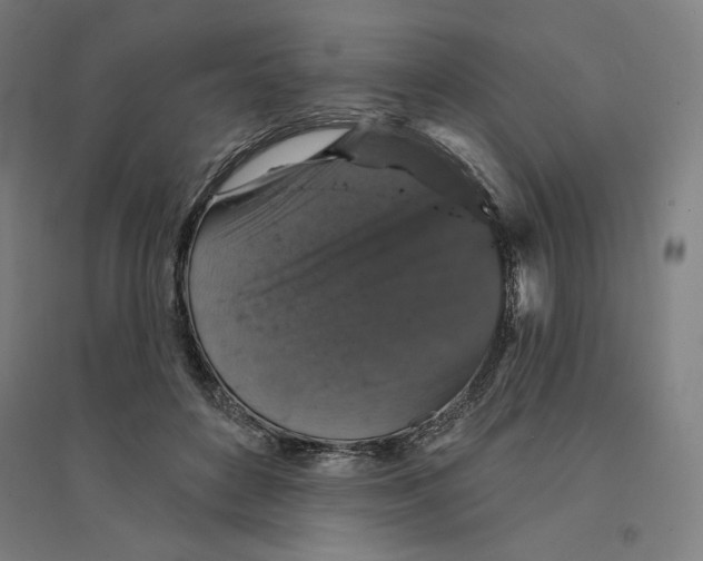 X0000094440504200712061141