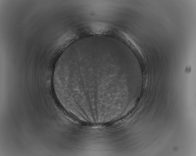 X0000094440505200712061141