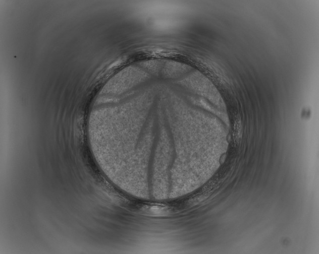 X0000094440506200712061141