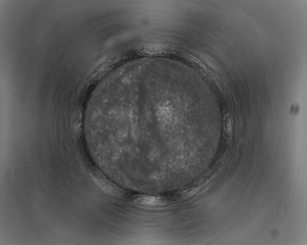 X0000094440507200712061141