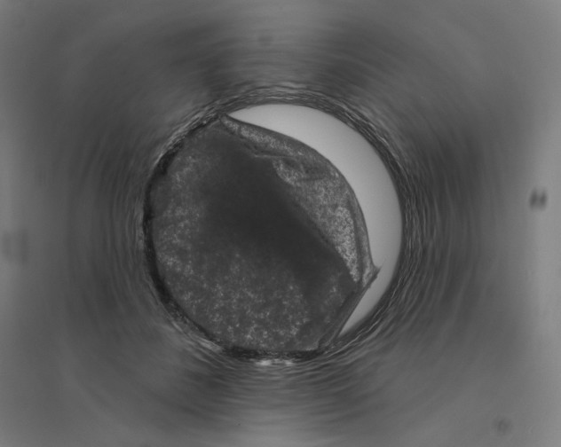 X0000094440508200712061141