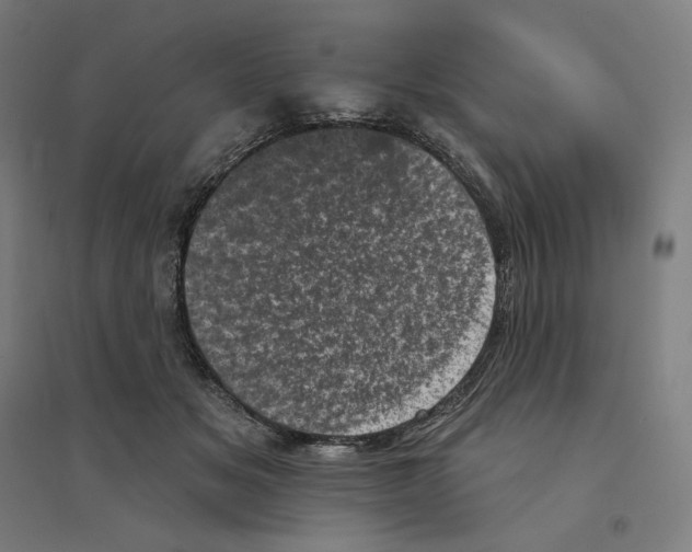 X0000094440509200712061141