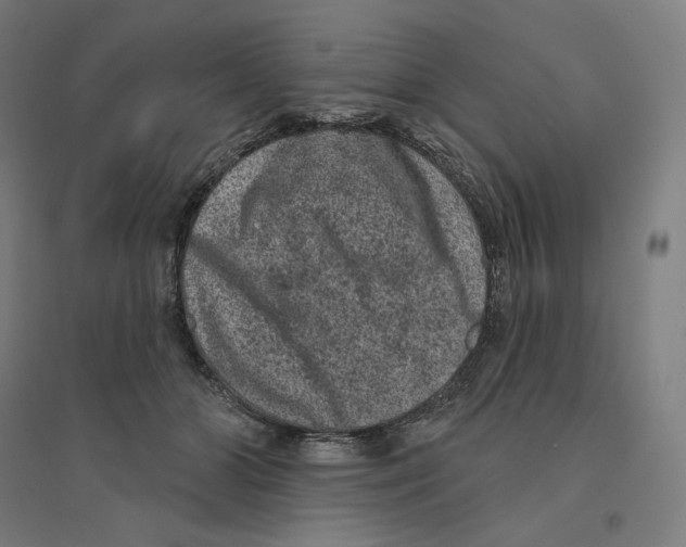 X0000094440510200712061141