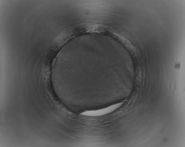 X0000094440513200712061141