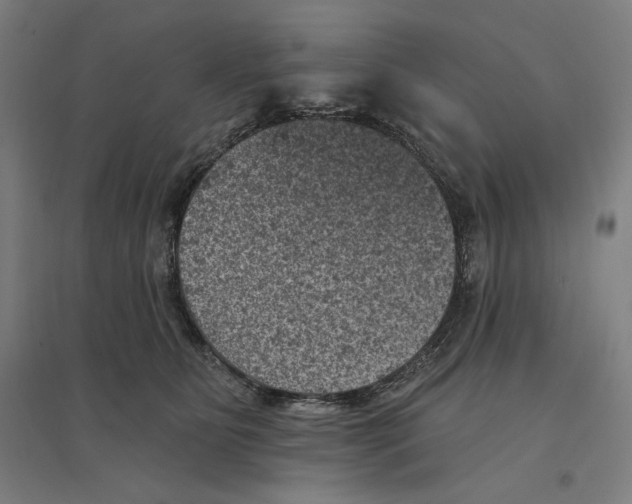 X0000094440515200712061141