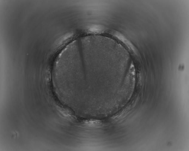 X0000094440517200712061141