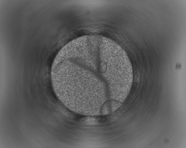 X0000094440518200712061141