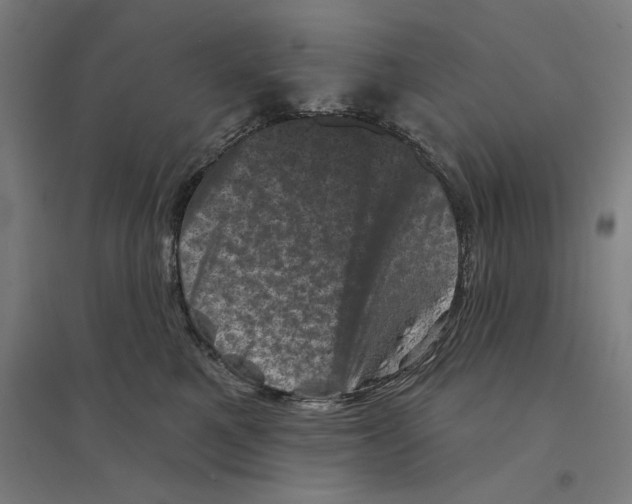 X0000094440521200712061141