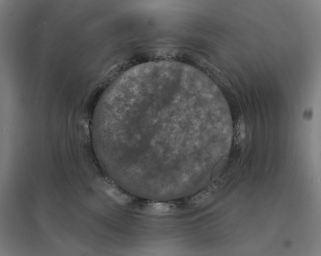 X0000094440522200712061141