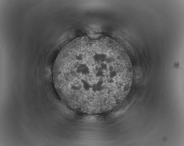 X0000094440523200712061141