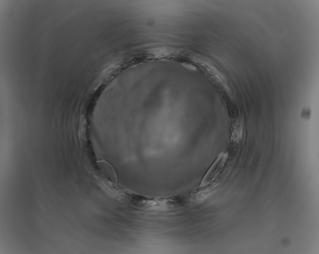 X0000094440524200712061141