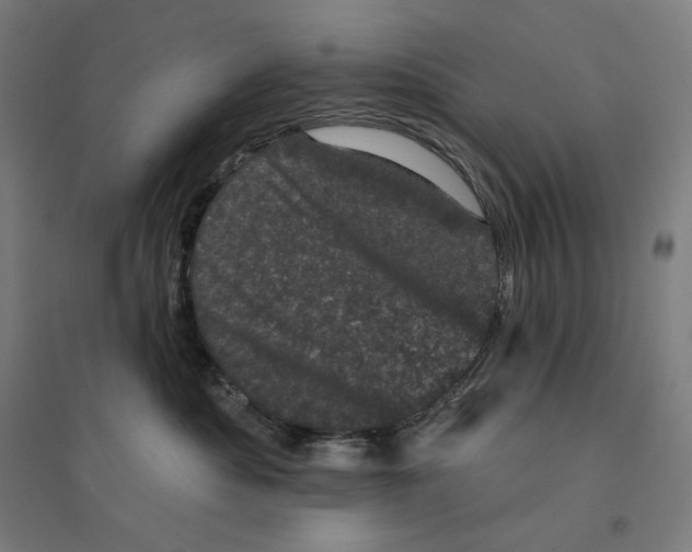 X0000094440525200712061141