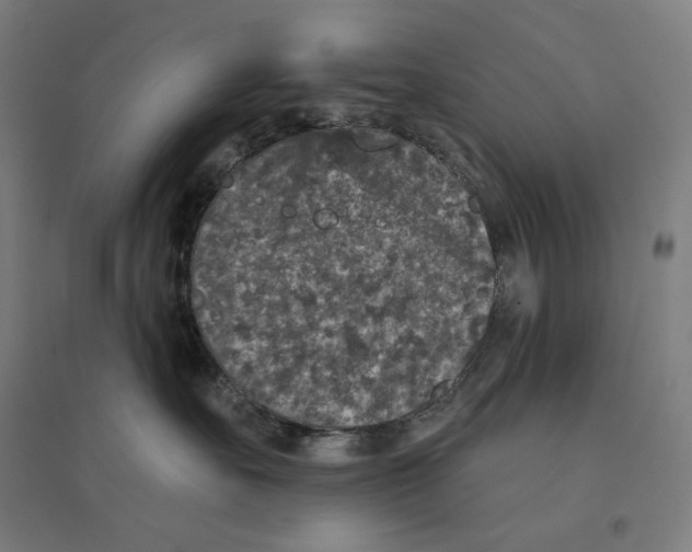 X0000094440527200712061141