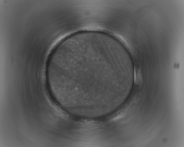 X0000094440531200712061140