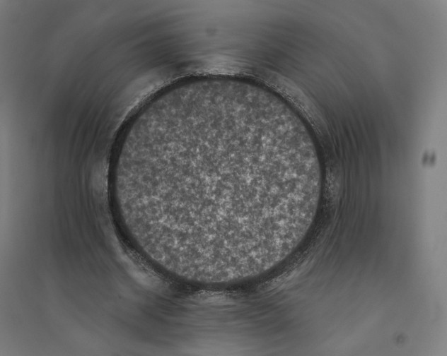 X0000094440534200712061140