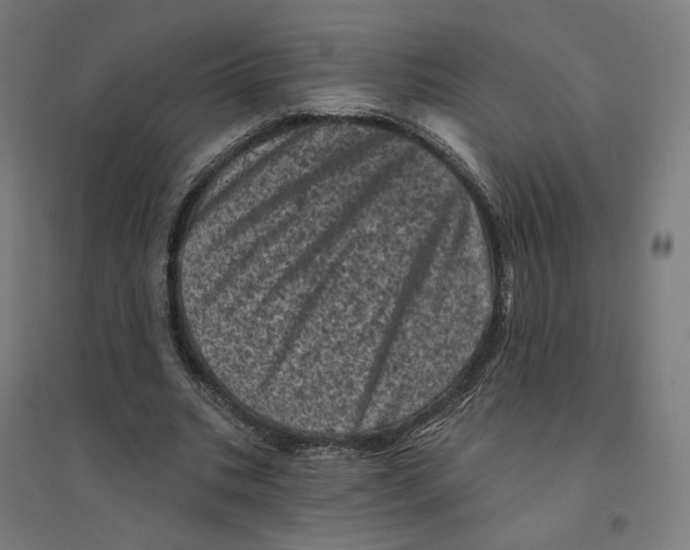 X0000094440535200712061140