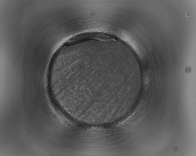 X0000094440536200712061140