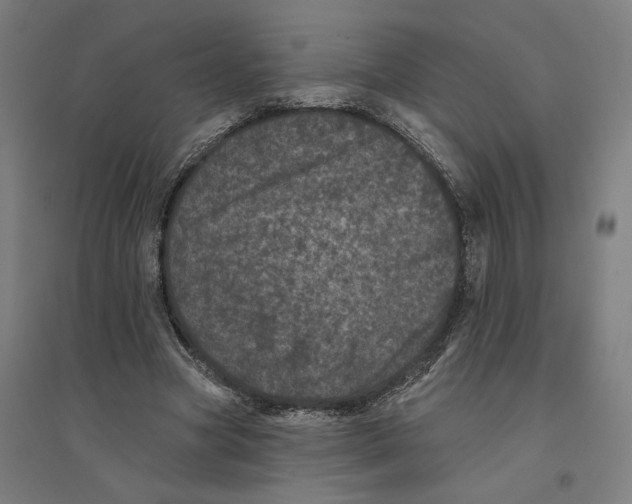 X0000094440537200712061140