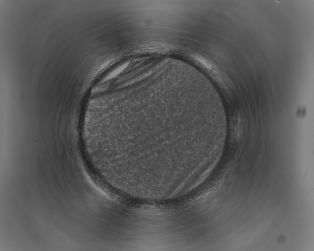 X0000094440538200712061140