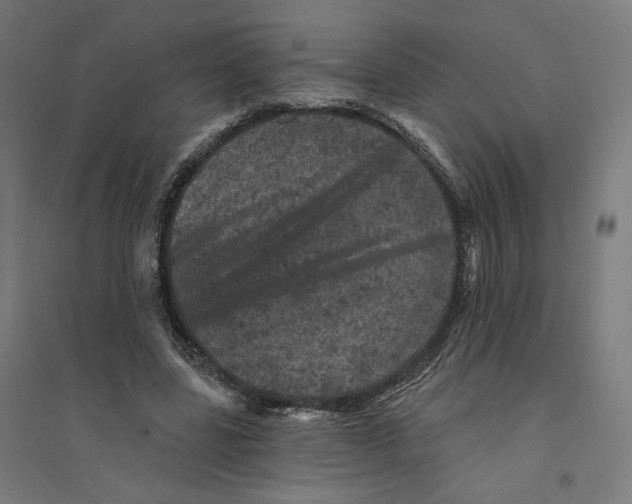 X0000094440539200712061140