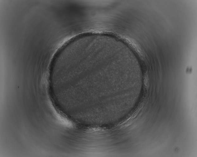 X0000094440540200712061140