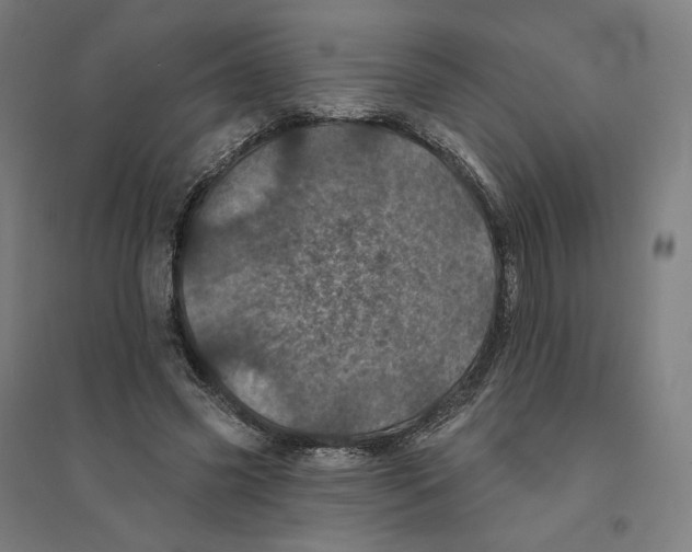 X0000094440541200712061140